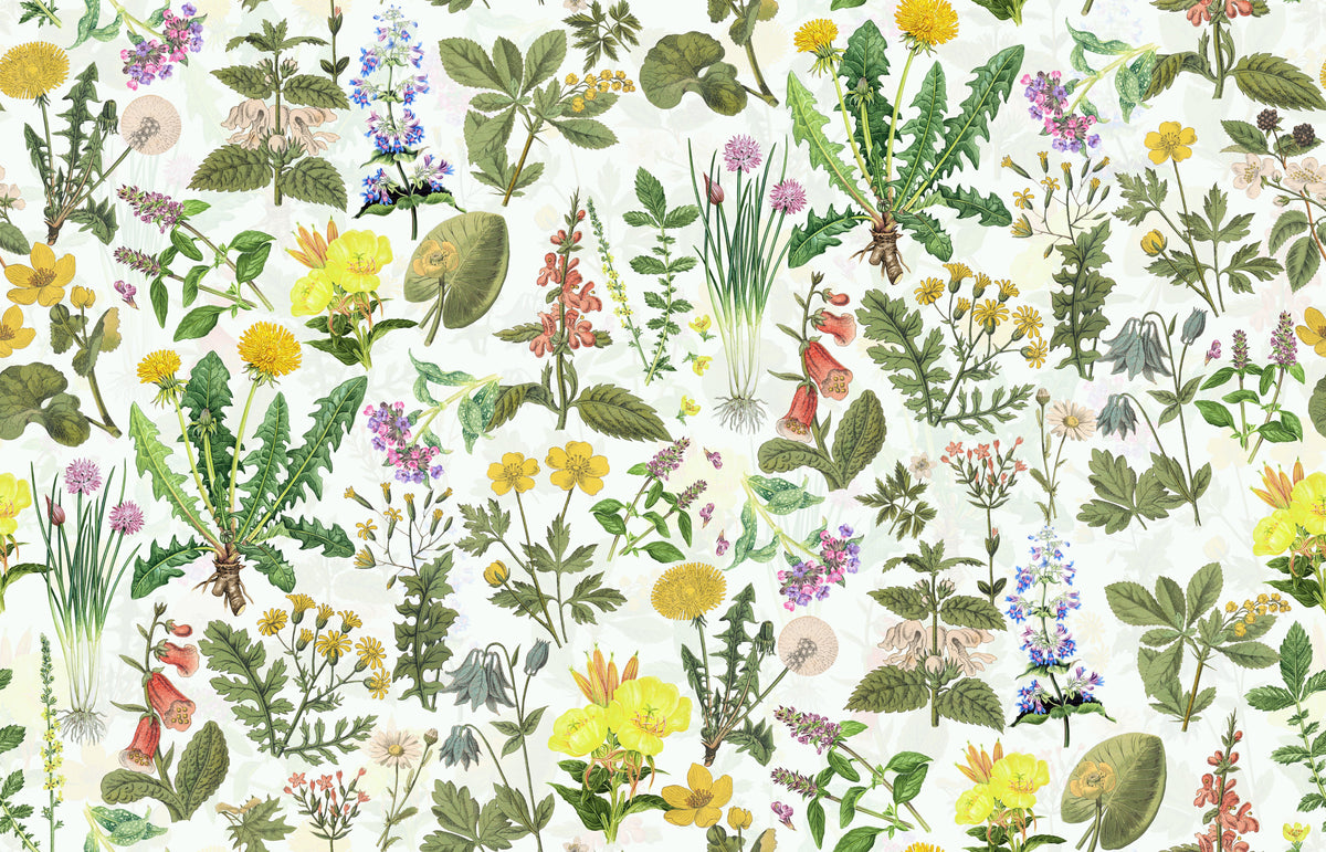 Botanische Wildkräuter Weiß – Muster 006_099