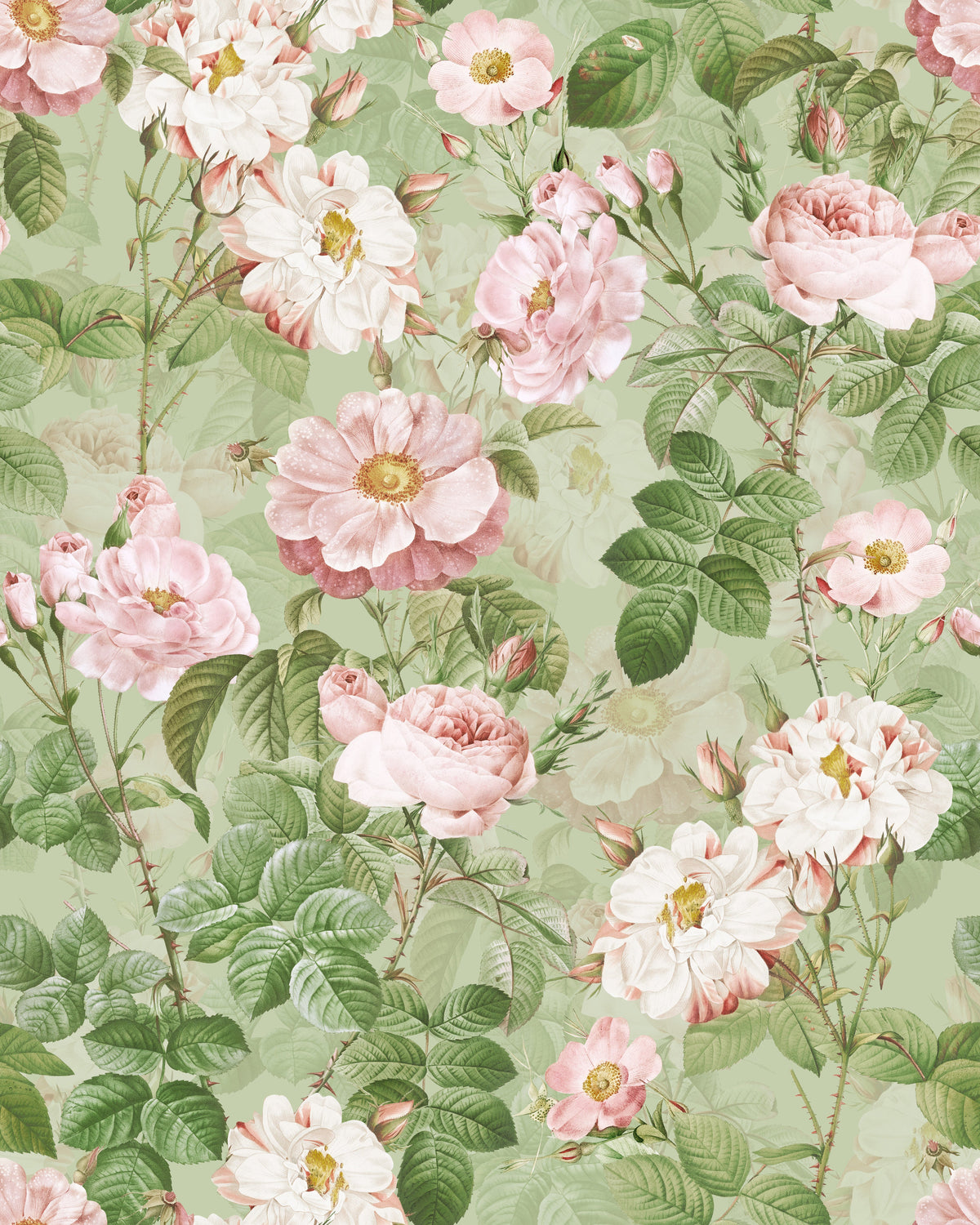Redouté-Rosen Salbeigrün – Muster 006_120