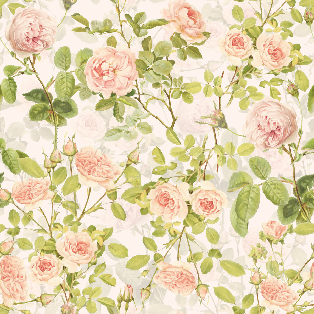 Zarte Rosen Apricot – Muster 006_128