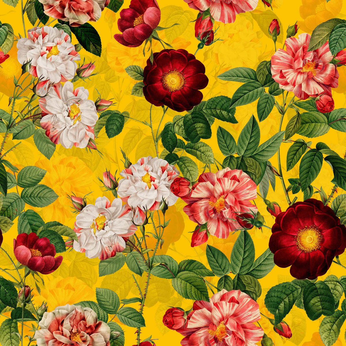 Rosen in Rot und Weiß auf Gelb – Muster 006_129