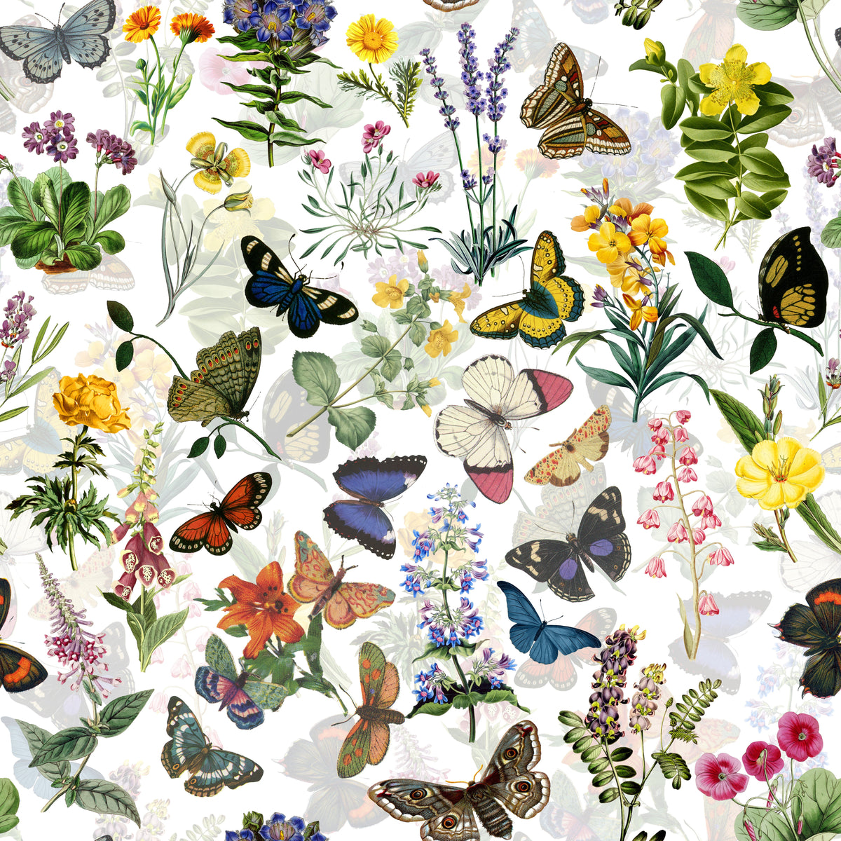 Schmetterlinge und Blüten botanisch – Muster 006_151