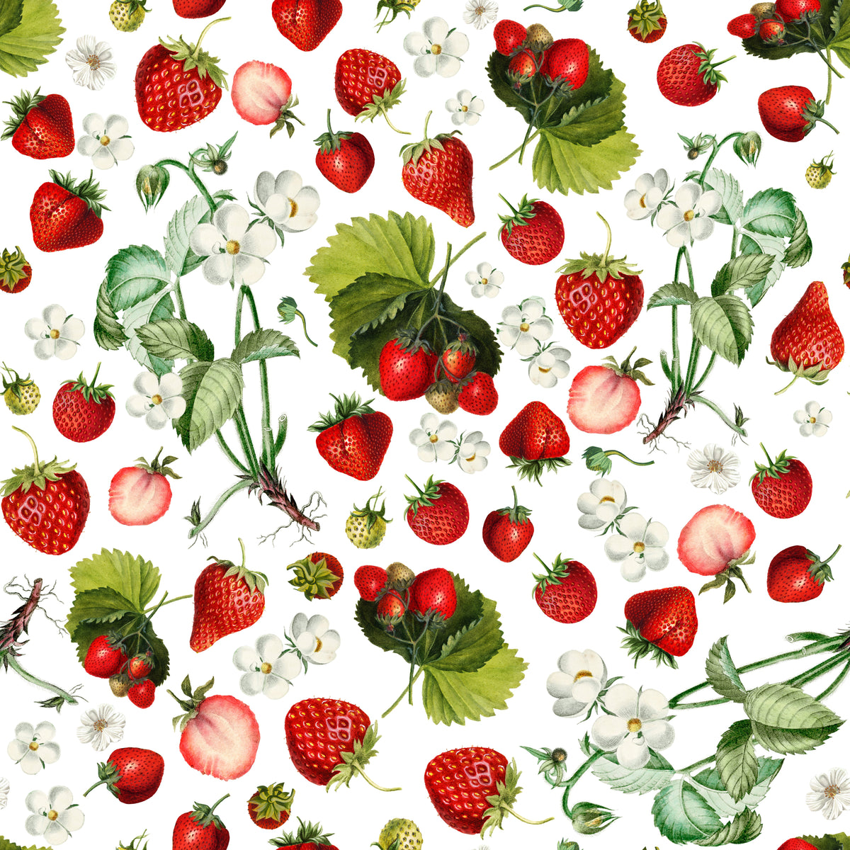 Erdbeeren mit Blüten – Muster 006_153