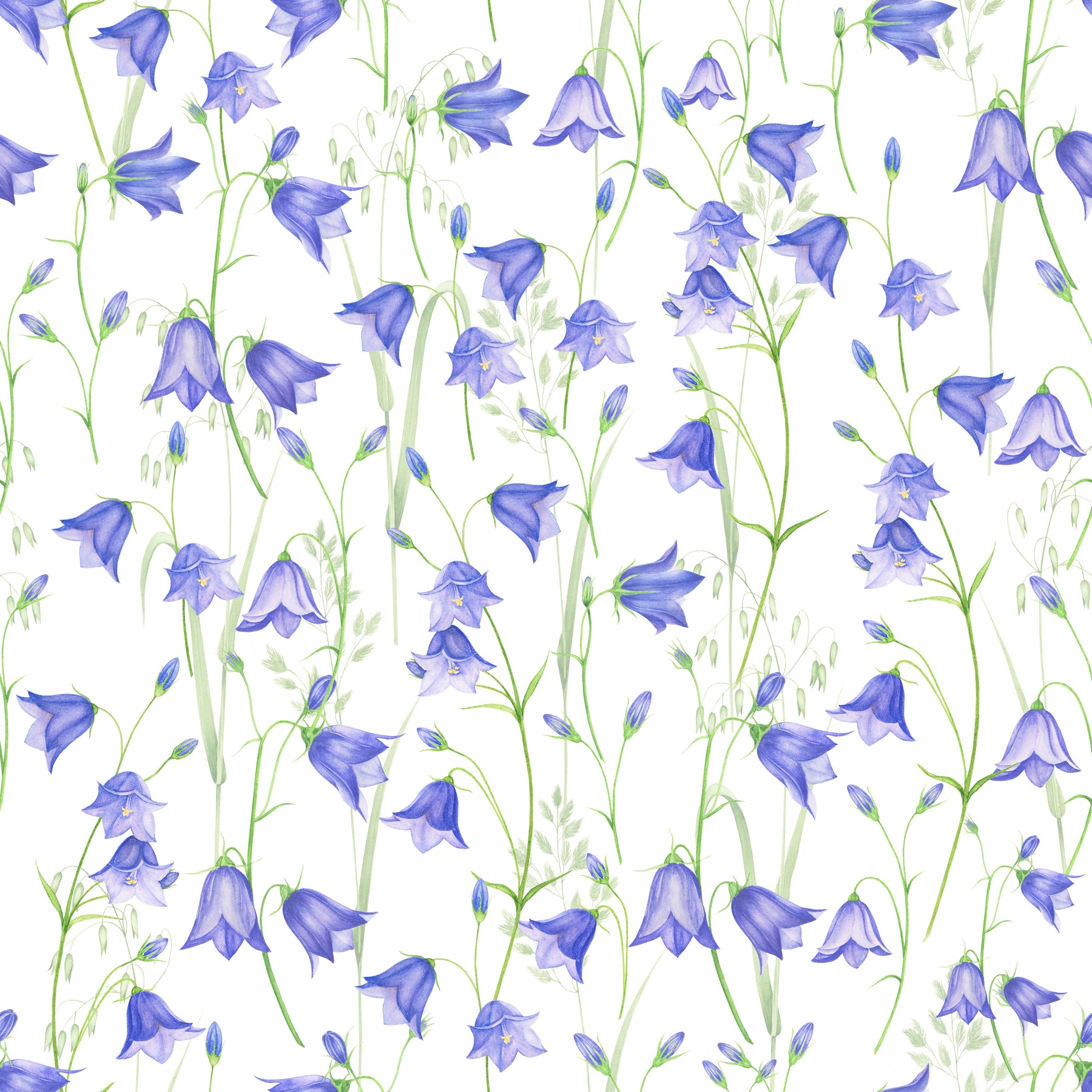 Glockenblumen Violettblau – Muster 006_158