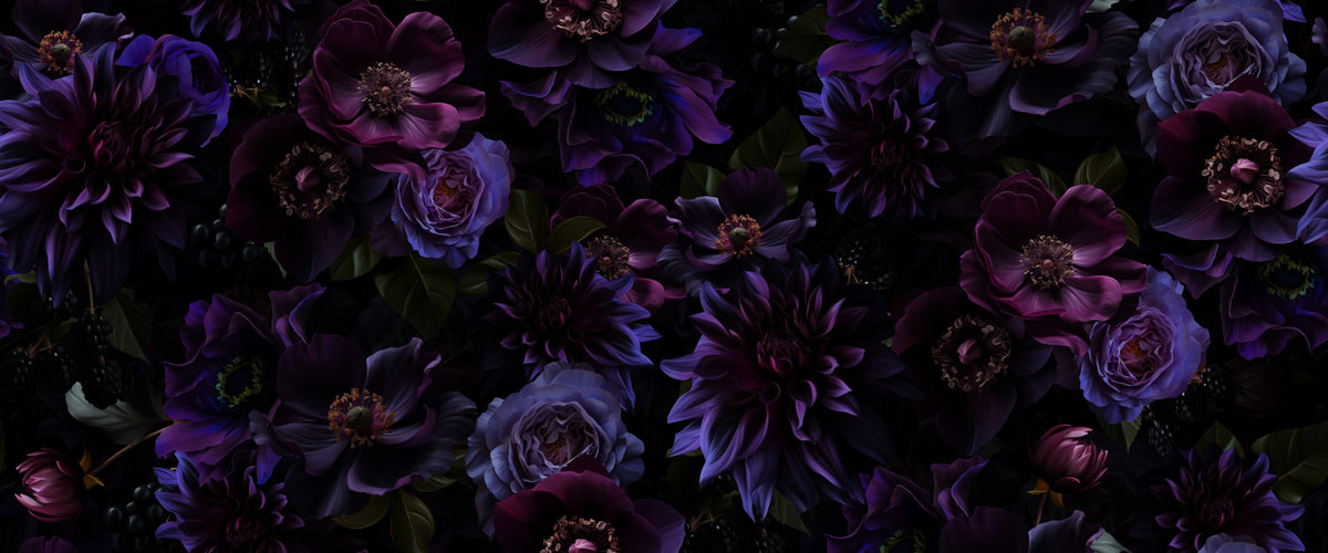 Dunkle Dahlien in Violett – Muster 006_083