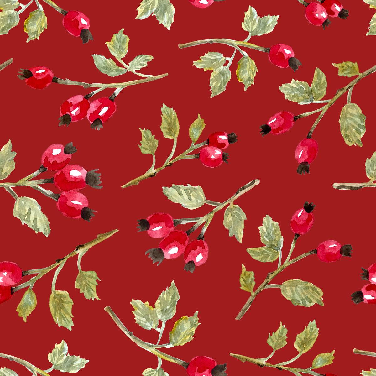 Wild Rosehip Branches Red