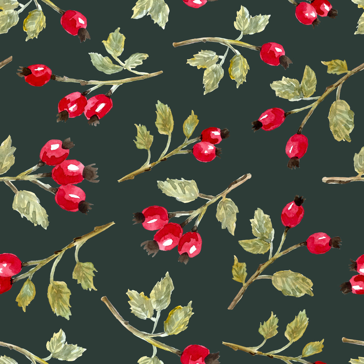 Wild Rosehip Branches Green
