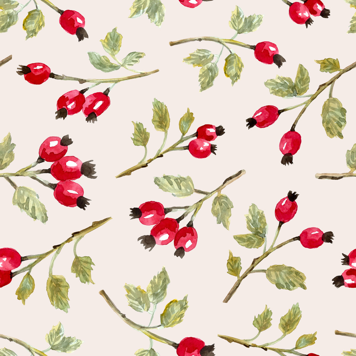 Wild Rosehip Branches White
