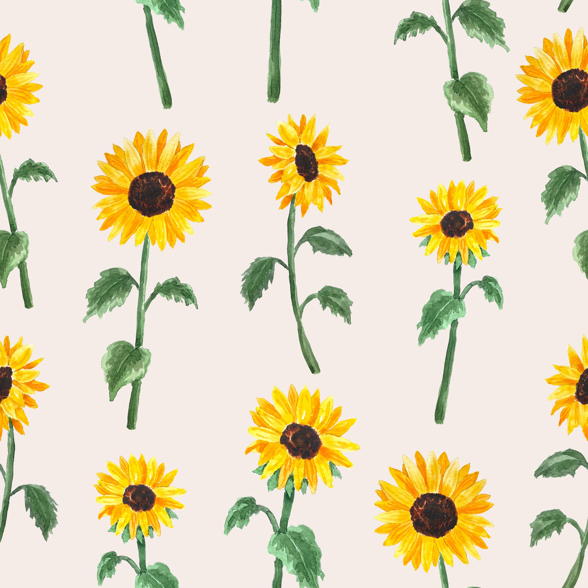 Sunny Sunflower Blooms