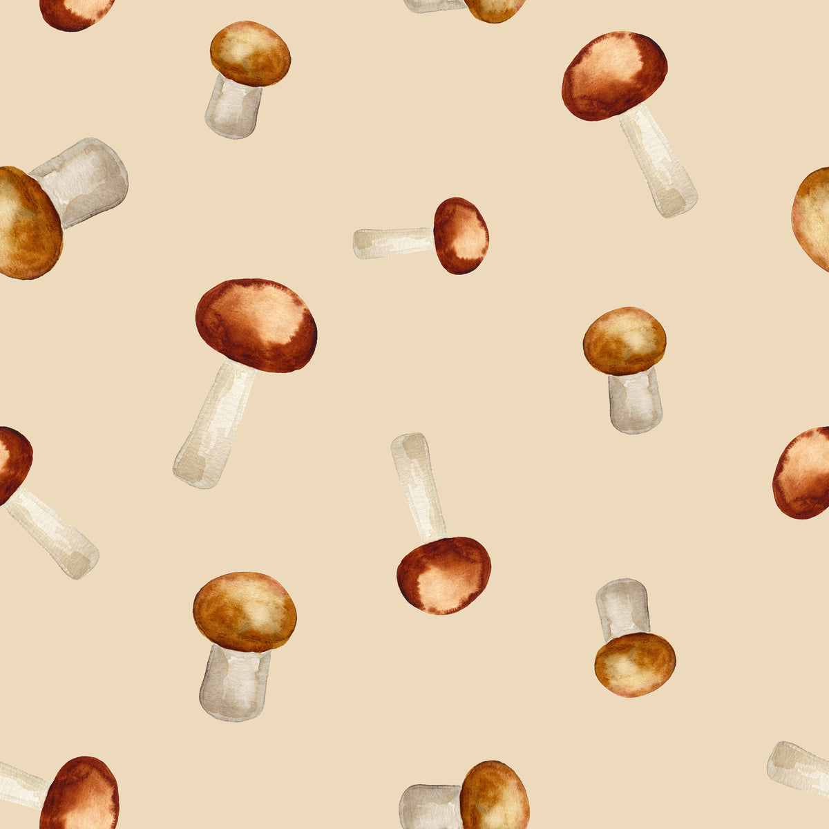 Earthtone Forest Mushrooms