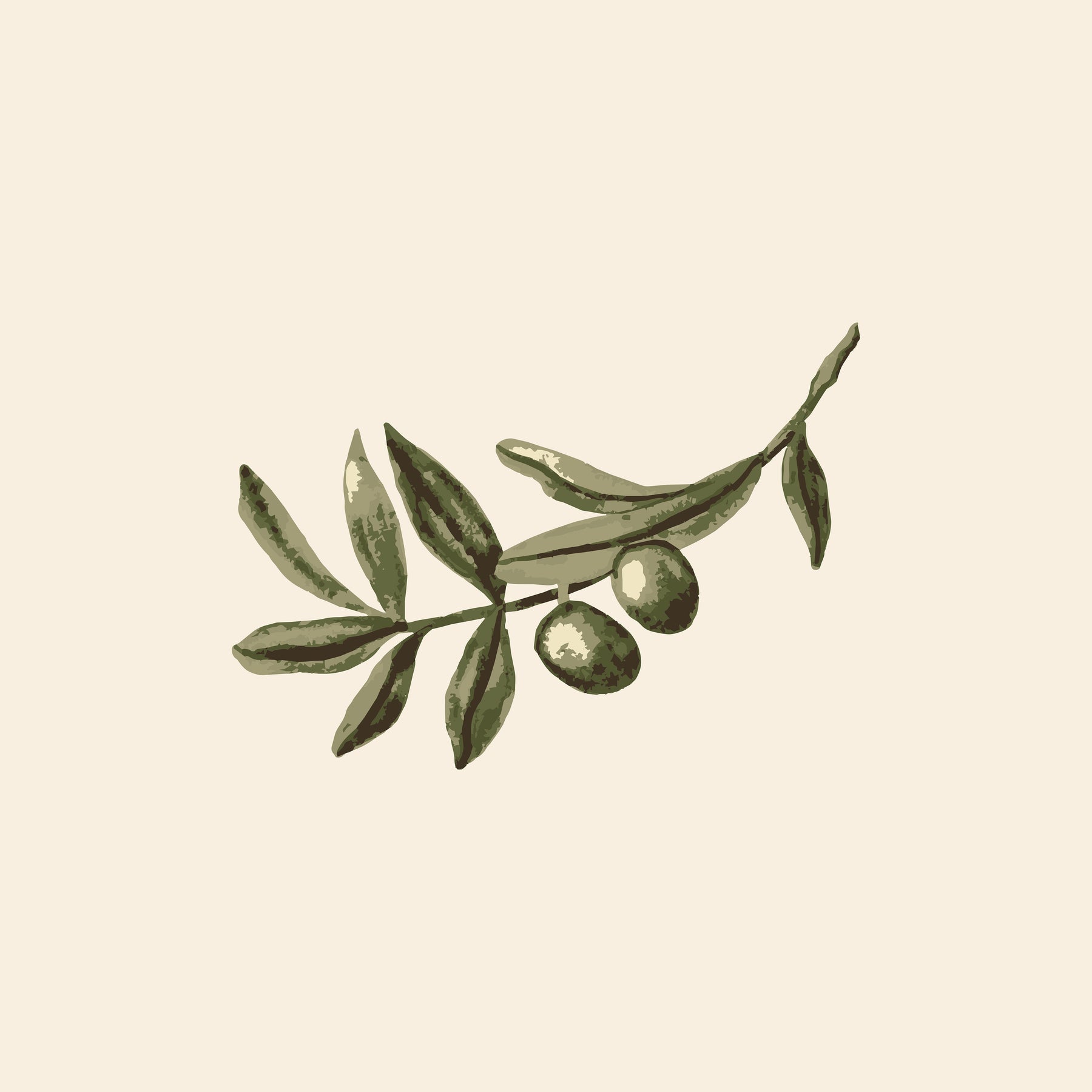 Mediterranean Olive Branch