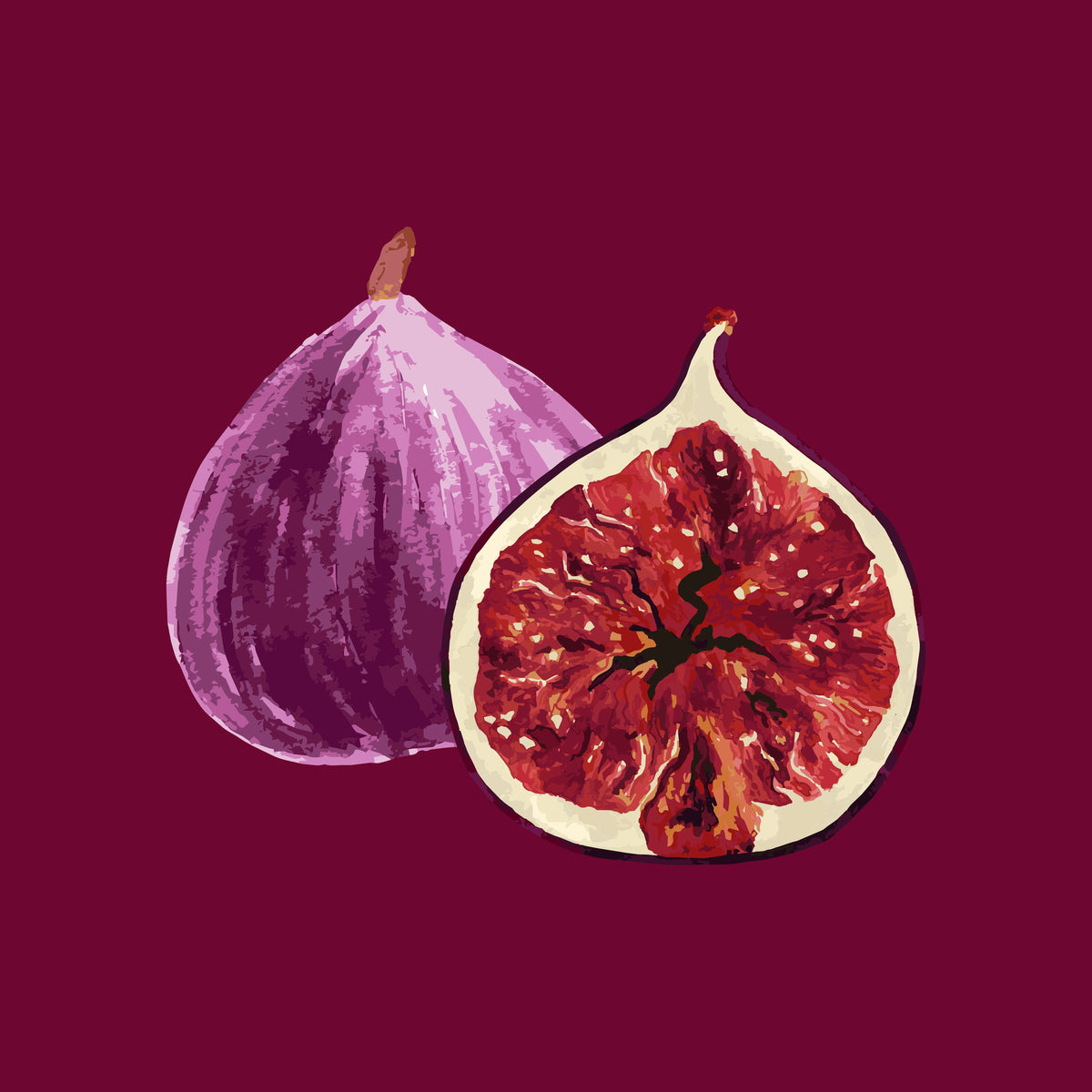 Mediterranean Velvet Fig Dreams