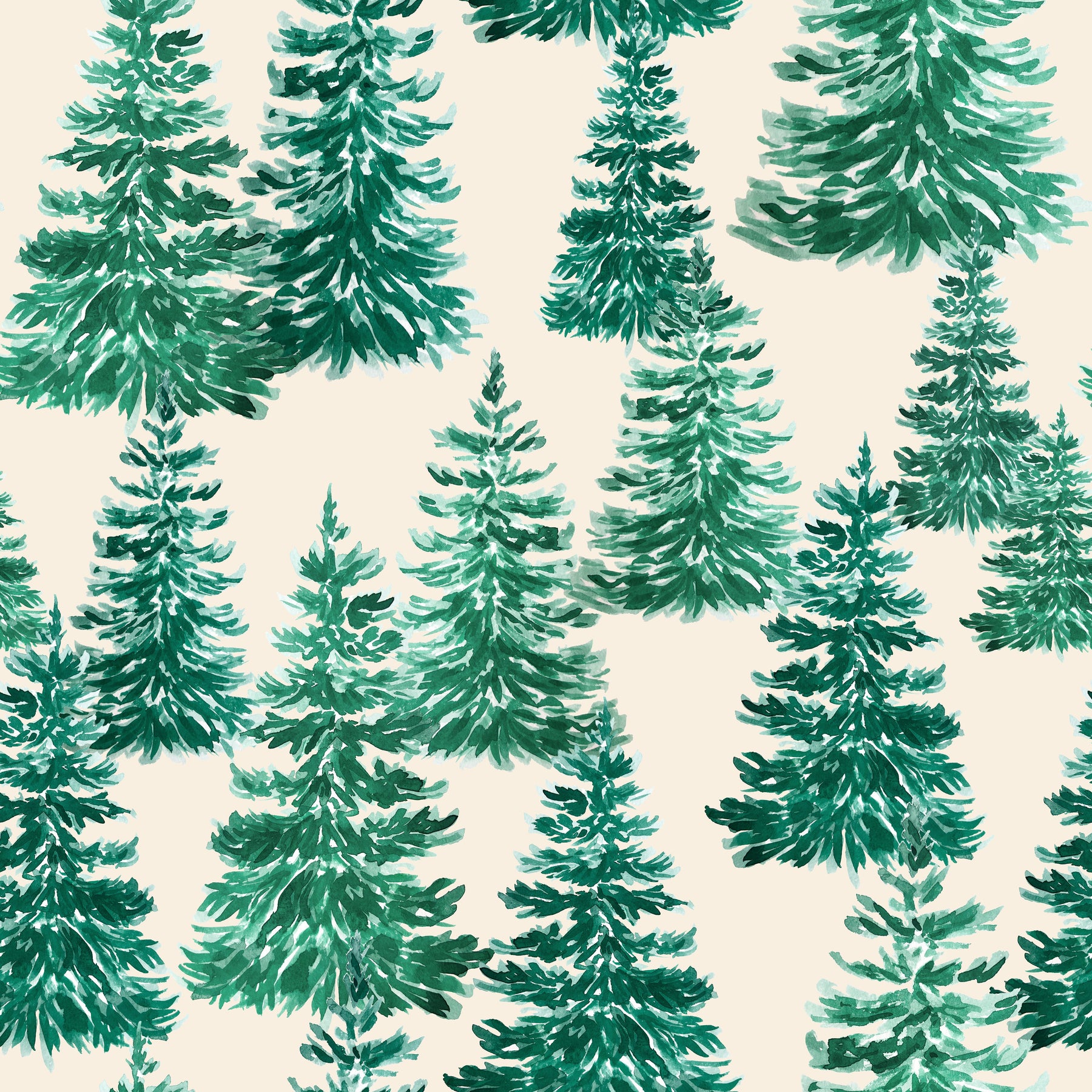 Winter Forest
