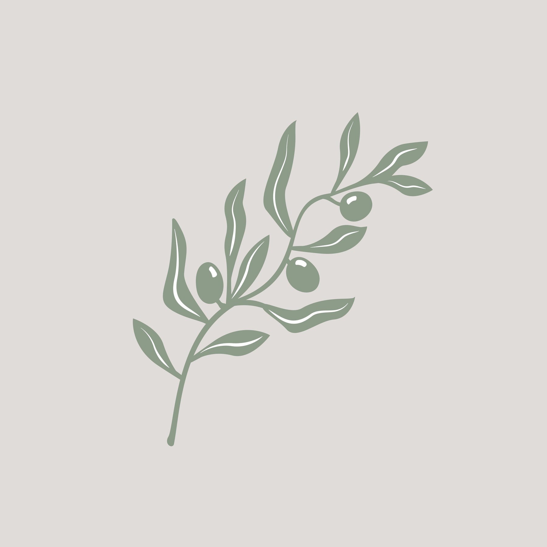 Olivenzweig Beige