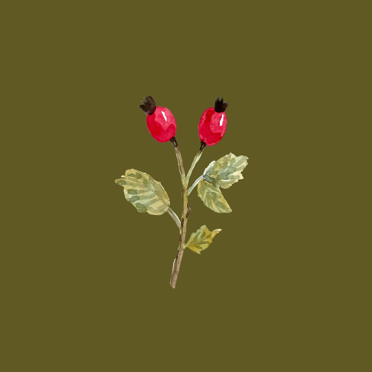 Rosehip Branch Dark Olive Green – Muster 001_259
