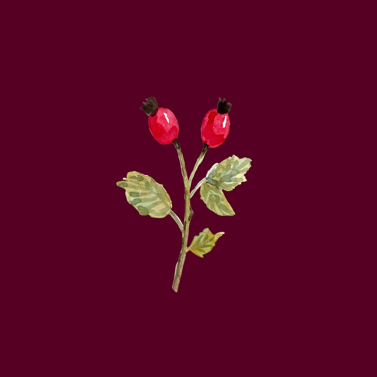 Rosehip Branch Berry Red – Muster 001_260