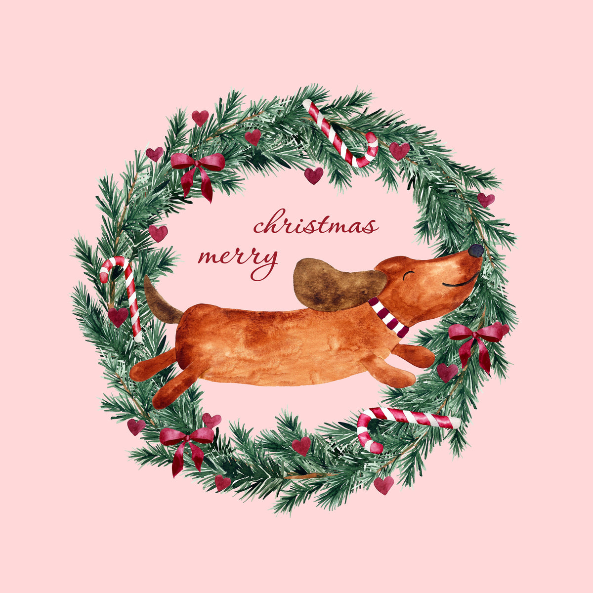 Merry Christmas Dachshund Pink – Muster 001_344