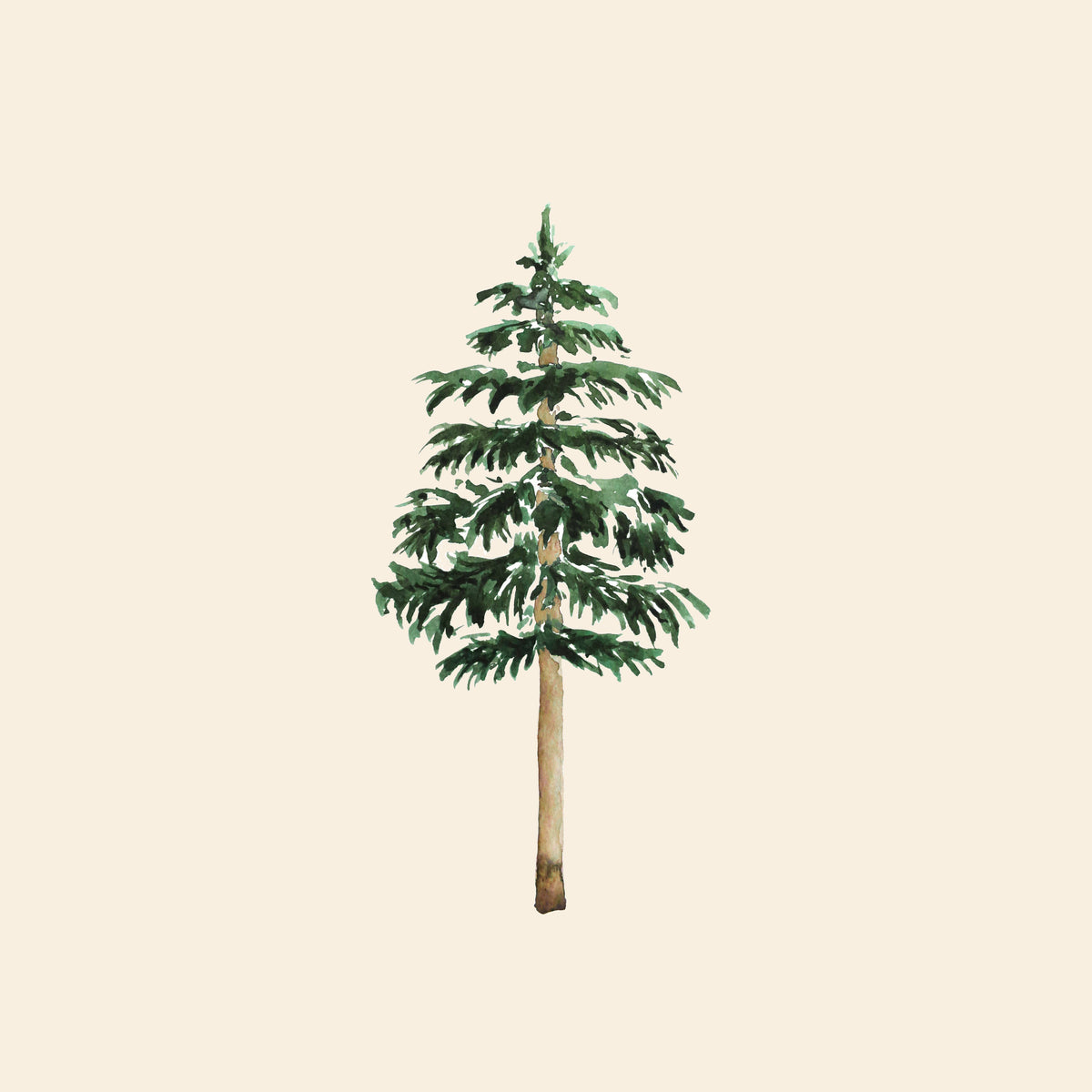Fir Tree – Muster 001_376