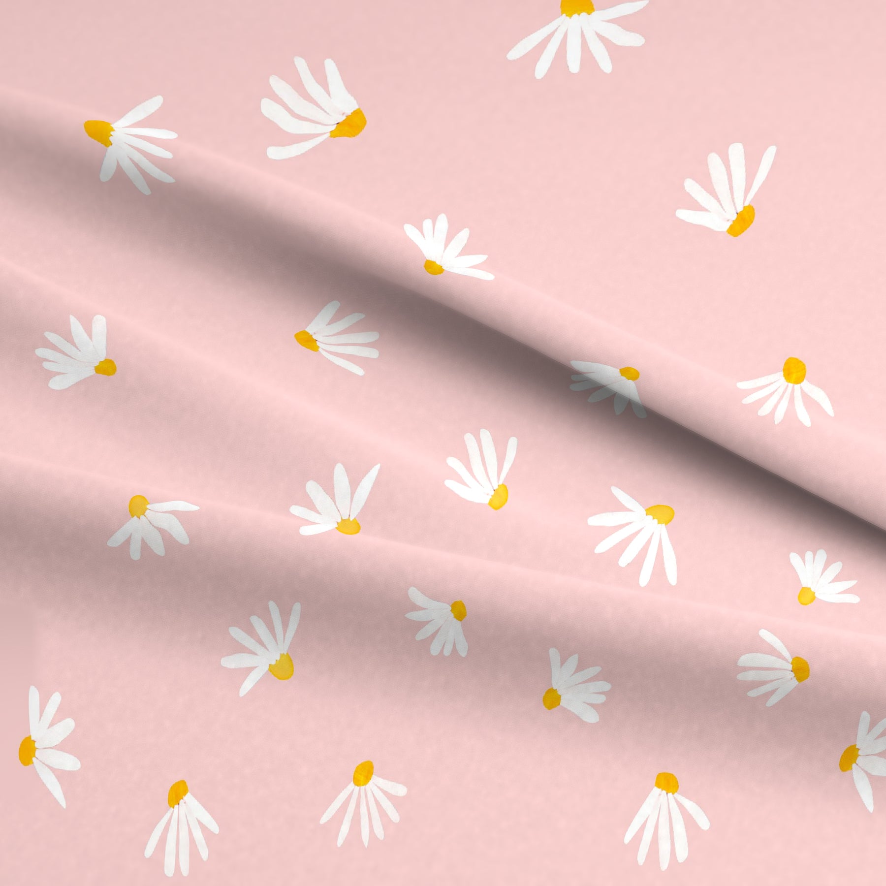 Kamillenblüten