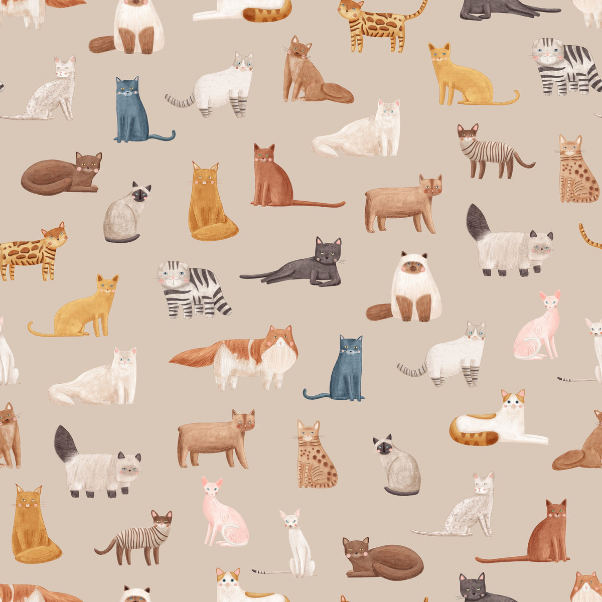 Katzenrassen Beige – Muster 008_025_01